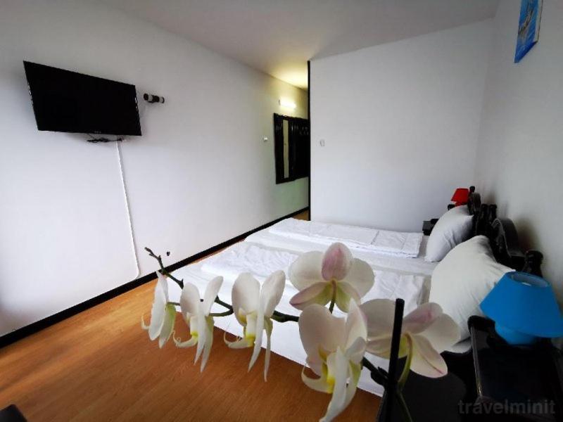 Hotel Balea 넵툰 외부 사진
